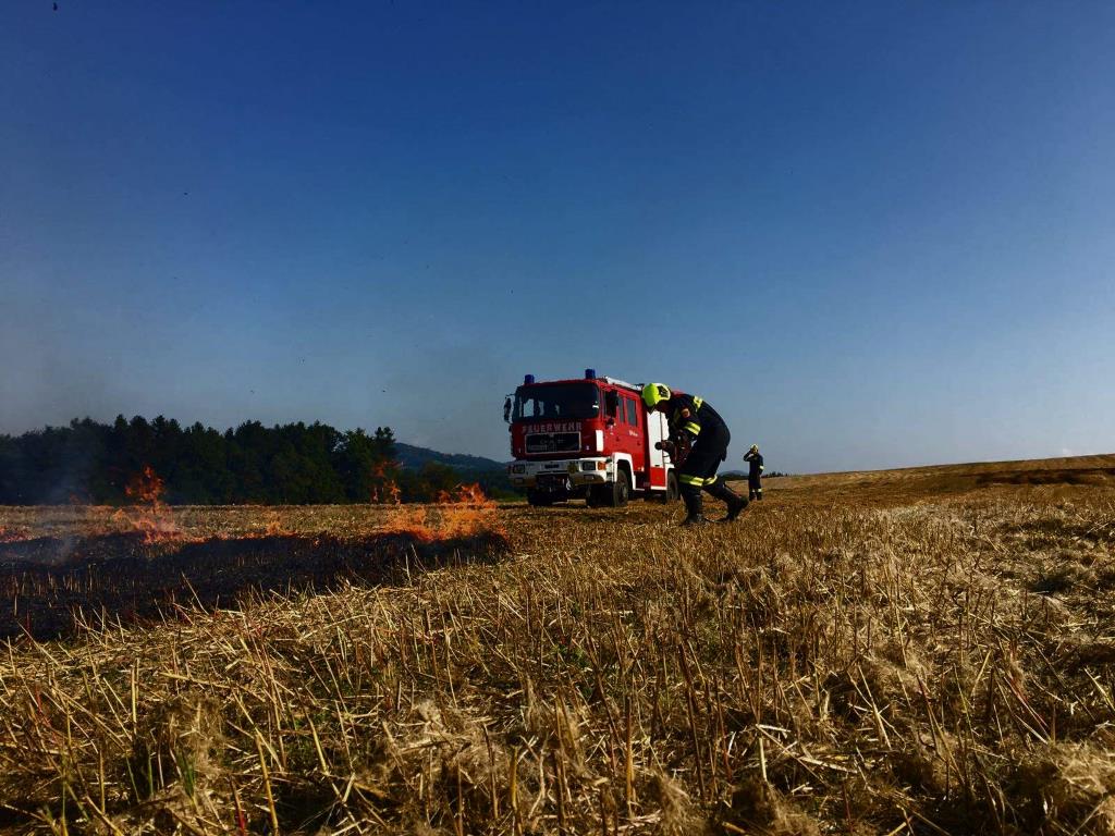 Foto: Das brennende Feld wird von FF-Mitgliedern gelöscht