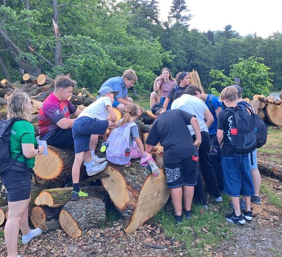 Eine Gruppe von Kindern erkundet einen Holzstapel am Ufer eines Sees. | © Name