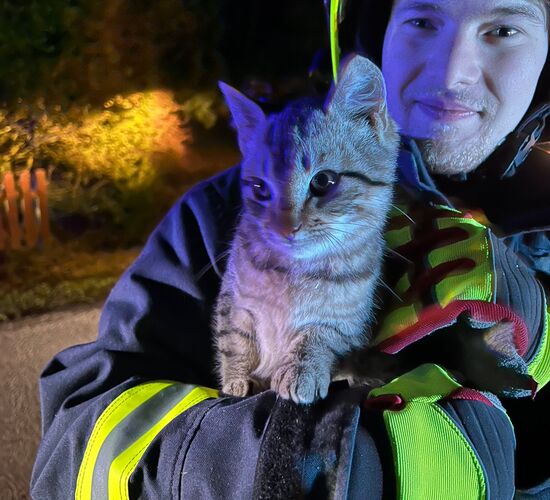 Ein Feuerwehrmann hält nachts eine gerettete Katze im Arm, während Lichter die Szene erhellen.