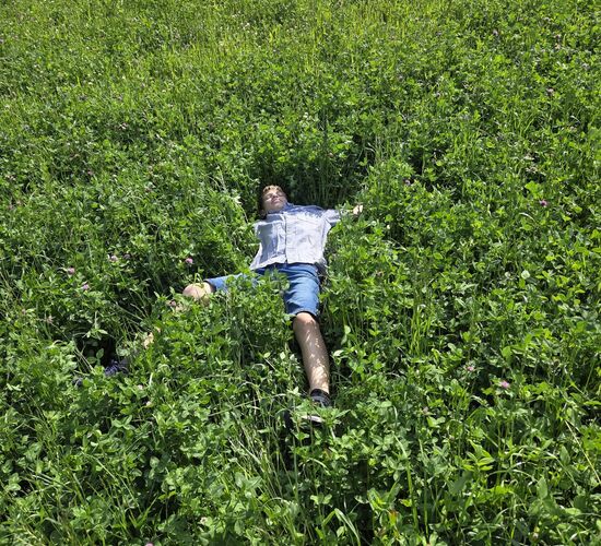 Ein Junge liegt entspannt in einem grünen Feld voller Gras und Pflanzen. | © Name
