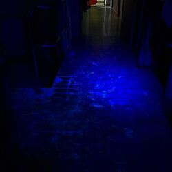 Am Boden des Gebäudes fluoresziert die durch Schuhe verteilte Übungschemikalie