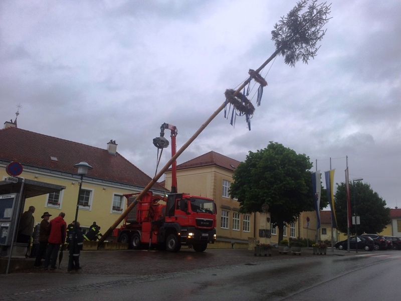 Foto: Der Maibaum wird mithilfe eines Kranes niedergelegt