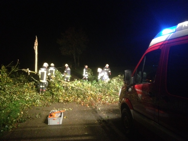 Foto: Unsere Kameraden beim zersägen eines quer über die Strasse liegenden Baumes