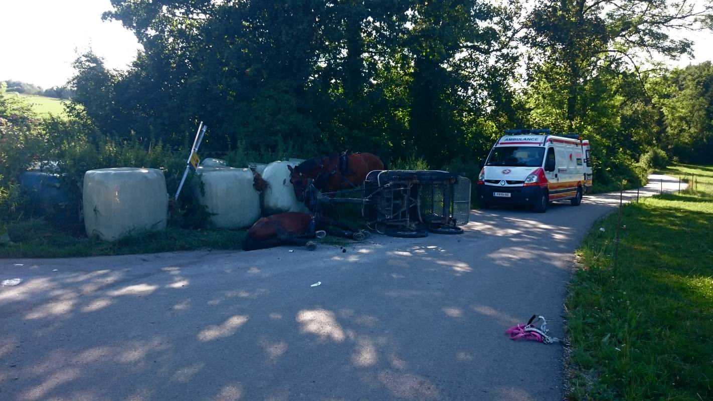 Foto: Umgestürztes Kutschengespann am Fahrbahnrand