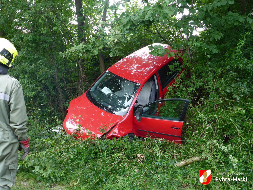 Foto: Das schwer beschädigte Fahrzeug im Gebüsch