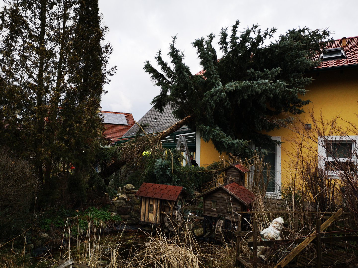 Foto: Der umgestürzte Baum ragt über den Zaun und lehnt mit dem Wipfel am Dach des Nachbarhauses